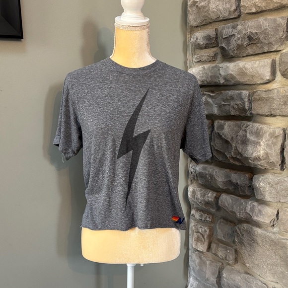 Aviator Nation Tops - Aviator Nation Short Sleeve Shirt, Women’s M, Gray